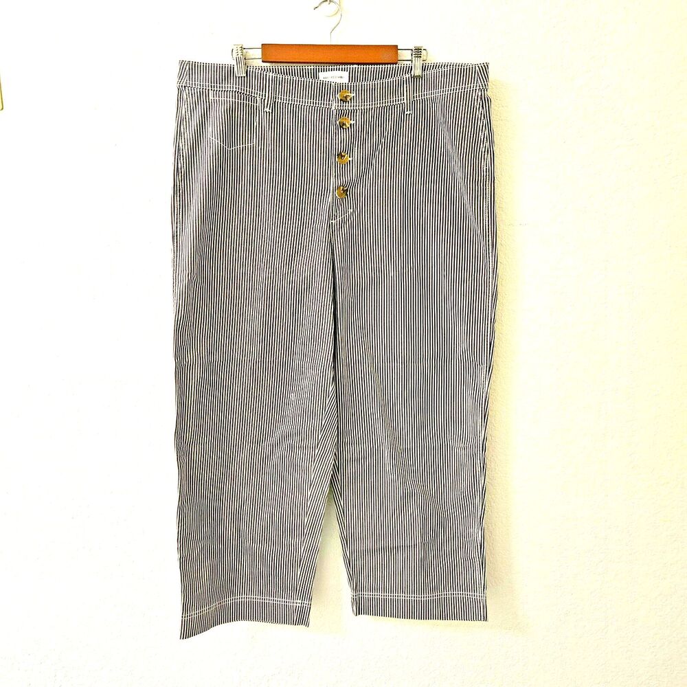 Free Assembly Cropped Blue & White Striped Canvas Button Fly Hi Rise Pants Women